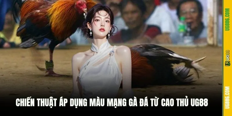 Chiến thuật áp dụng màu mạng gà đá từ cao thủ UG88