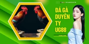 Đá Gà Duyên Ty