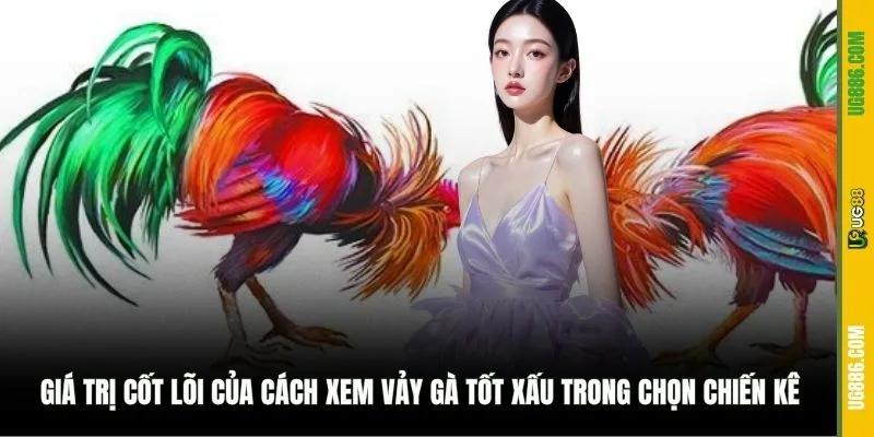 Giá trị cốt lõi của cách xem vảy gà tốt xấu trong chọn chiến kê