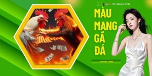 Màu Mạng Gà Đá