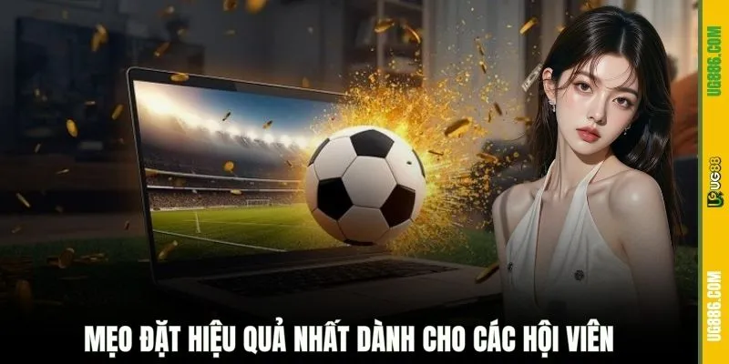 Mẹo đặt hiệu quả nhất dành cho các hội viên