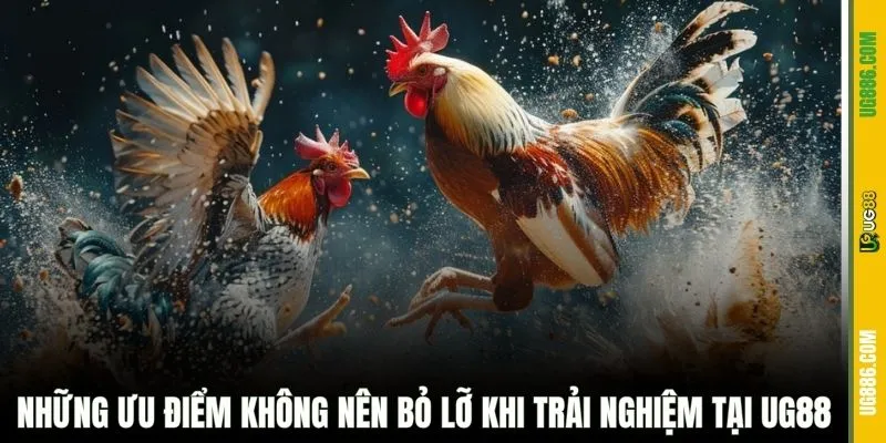 Những ưu điểm không nên bỏ lỡ khi trải nghiệm tại UG88
