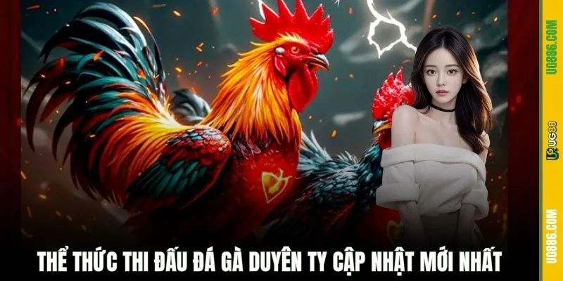 Thể thức thi đấu đá gà Duyên Ty cập nhật mới nhất
