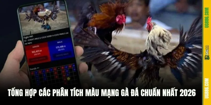 Tổng hợp các phân tích màu mạng gà đá chuẩn nhất 2026